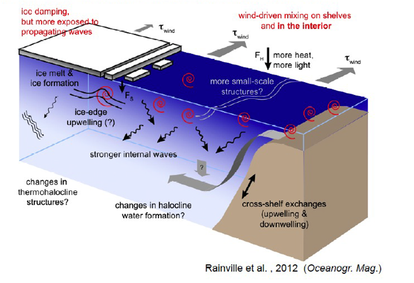 schematic dimmununation of sea ice